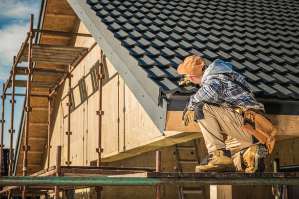 Steel Roofing in Clermont, FL